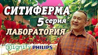 СИТИФЕРМА | Лаборатория | Philips, Signify 5 серия #218