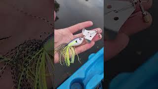RIVER2SEA OPENING BELL BUZZBAIT 130 Action Shot