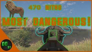 Hunting the Most DANGEROUS GAME with the 470 NITRO!! TheHunter Call of the Wild 2019