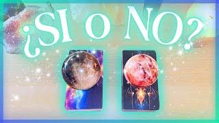 YES or NO  Ask anything!  Pick a Card Reading 