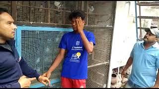 kabootar chor        #viral #trendingvideo #pigeon #thiefpuzzle