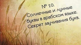 № 10. Солнечные и лунные буквы в арабском языке. Секрет заучивания букв.