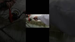 THICK Bass KICKING A** EASY  #shorts #fishing #bassfishing