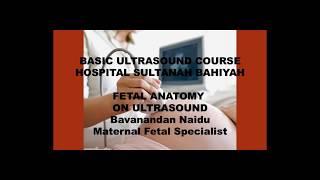 FETAL ANATOMY ON ULTRASOUND