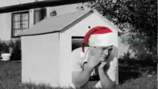 Doghouse Jewelry Store Video Ad - Robert Irwin Jewelers