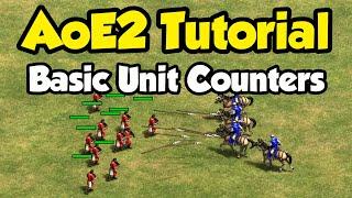 Beginner guide to counters in AoE2