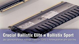 Cruсial Ballistix Elite и Ballistix Sport - два двухканальных набора памяти DDR3