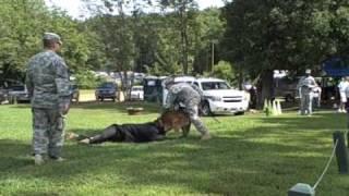 US Army - Canine Demo