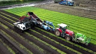 BRADLEYS MACHINERY- PRINOTH PANTHER T7R Demo - Carrot Harvesting