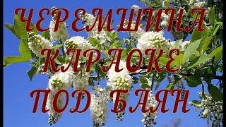 УКРАЇНСЬКА ПІСНЯ ЧЕРЕМШИНА - КАРАОКЕ ПОД БАЯН текст в описании