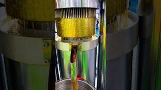 hydraulic oil press machine to press sesame oil in carton fair complex #oilpress #sesameoil #factory