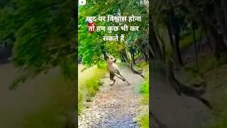 #dog #dogs #doglover lover #fighting #fighterjet