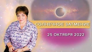 Солнечное затмение 25 октября 2022 | Прямой эфир