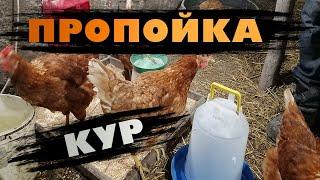 Витаминная пропойка кур несушек.