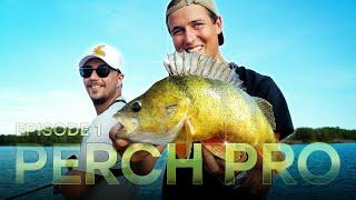 PERCH PRO 11 - Episode 1