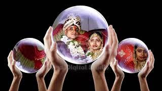EDIUS X FCP 3D FX Wedding Vol 3 || Frame FCP FX EDIUS X || 2023 EDIUS X 9 8 7 FX