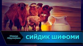 СИЙДИК ШИФОМИ | SIYDIK SHIFOMI