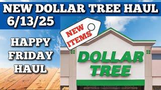 NEW DOLLAR TREE HAUL 6/13/25