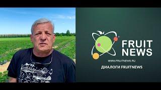 Диалоги FruitNews. Пленкин Вячеслав