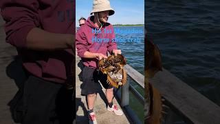 His 1st Megadon Monster!!