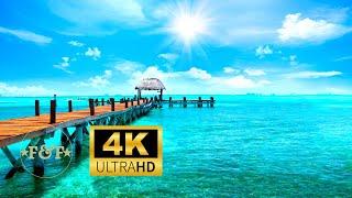 Activate Inner Peace: 3 Hours of Sublime Relaxing Music, Soft Piano, and Tranquil Nature Scenes