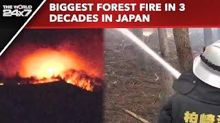 Japan Forest Fire | Biggest Forest Fire In 3 Decades In Japan