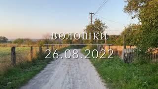 Волошки риболовля, 26.08.2022