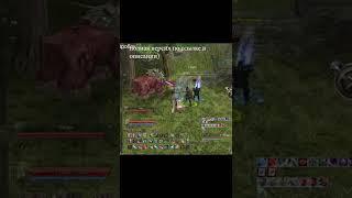 ГДЕ СТАРТОВАТЬ? ПРЕИМУЩЕСТВА СТАРЫХ СЕРВЕРОВ lineage 2 essence crusader #Shorts