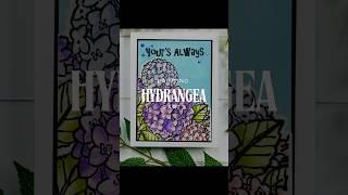 How to Paint a Hydrangea with Distress Inks as Watercolors part 1