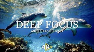 Work Music for Concentration - 12 Hours of Ambient Study Music to Concentrate #48