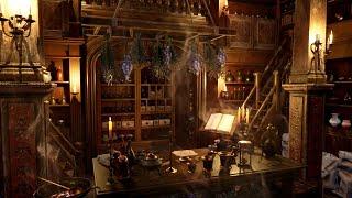 Medieval Apothecary shopImmersive Experience