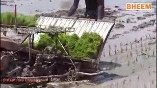 Gain- Bheem Rice Transplanter