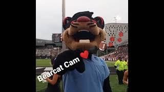 Bearcat Cam ️ #gobearcats #cincybearcat