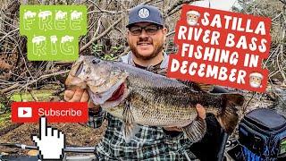 Satilla River bass fishing using the “Free Rig” is MONEY in December 