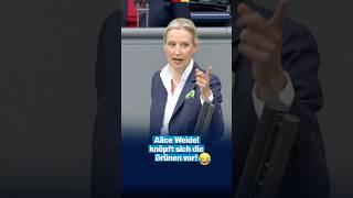 Alice Weidel knöpft sich die Grünen vor! 