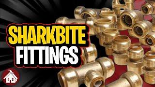 Everything You Need to Know about Sharkbite Fittings!