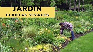 Jardín grande con plantas vivaces - Decogarden - Jardinatis