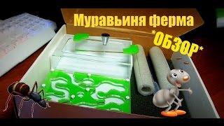 [ОБЗОР]-МУРАВЬИНАЯ ФЕРМА!