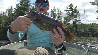 Catch and Cook Bass in Clay Oven | LiTime LiFePO4 50 Ah