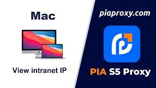 [Piaproxy Tutorial] How to check the internal network IP on the Mac?