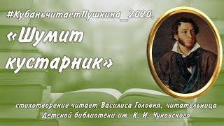 28.05.20. #КубаньчитаетПушкина_2020. А. С. Пушкин «Шумит кустарник»