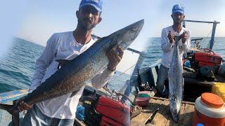 Shahmeer Baloch Catch 10Kg Giant King Fish in Taru Method #topdivers  #PDF #kingfish #fishingkingf