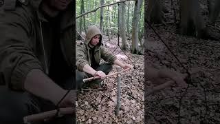 Trap #bushcraft #trap #survival