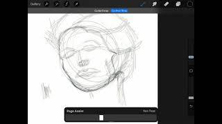 Am I the only one going through a glitch in IPad with Art tool (ProCreate)?