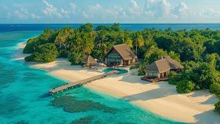 Morning Vibes  Top 2025 Playlist for a Relaxing Start
