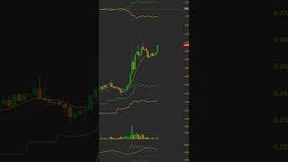 Momentum trading is all about timing ⏳ Spot the pullback, ride the wave, and secure the profits.