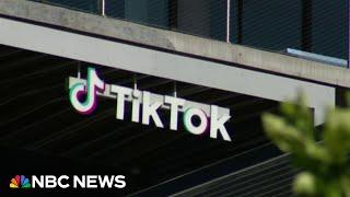 TikTok appeals to Supreme Court to halt sale