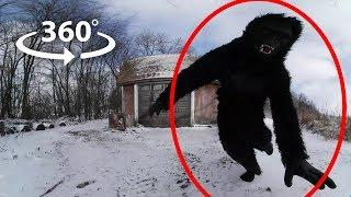 360 Bigfoot | VR Horror Experience