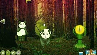 Giant Panda Forest Escape walkthrough Wow Escape..