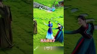 【刀郎经典催泪神曲】《全世界飞翔的鸟》一开口就让人泪崩！穿越风雨的治愈旋律！【音乐诗人刀郎×金牌词曲潘天桥】2011年神专《身披彩衣的姑娘》隐藏宝藏！用最苍劲的嗓音唱透人间漂泊者的心声。 #刀郎